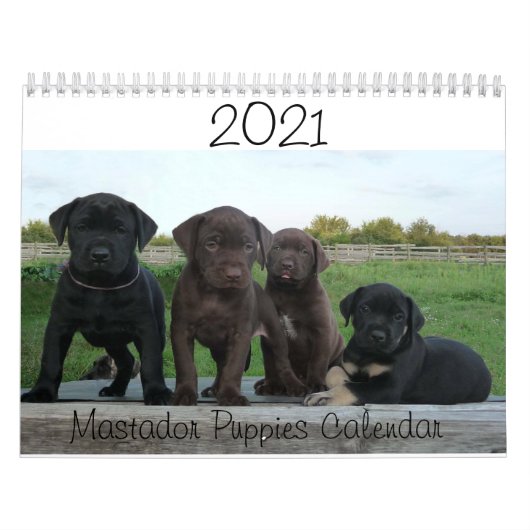 2021 Agenda van de Puppies van Mastador Kalender (Hoes)