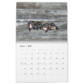 2021 Agenda van de Puppies van Mastador Kalender (Mar 2027)