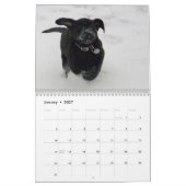2021 Agenda van de Puppies van Mastador Kalender (Jan 2027)