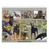 2021 Agenda van Dobermantalk Kalender (Hoes)