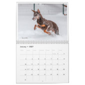 2021 Agenda van Dobermantalk Kalender (Jan 2027)
