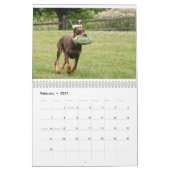 2021 Agenda van Dobermantalk Kalender (Feb 2027)