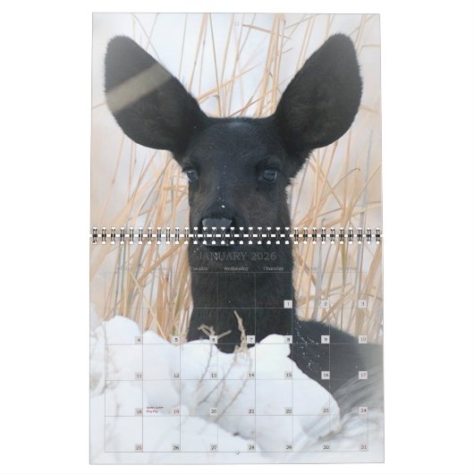 2021 beter aangepaste agenda kalender (Jan 2026)