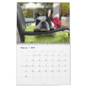 2021 BUBBA VIBE CALENDAR KALENDER (Feb 2027)