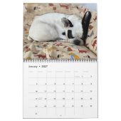 2021 BUBBA VIBE CALENDAR KALENDER (Jan 2027)