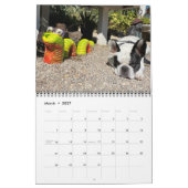 2021 BUBBA VIBE CALENDAR KALENDER (Mar 2027)