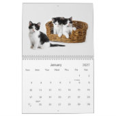 2021 Catnip Cuties Katten en Kittens Kalender (Jan 2027)