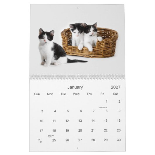 2021 Catnip Cuties Katten en Kittens Kalender (Jan 2027)