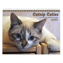 2021 Catnip Cuties Katten en Kittens Kalender