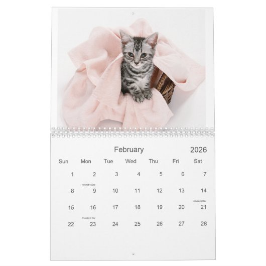 2021 Catnip Cuties Katten en Kittens Kalender (Feb 2026)
