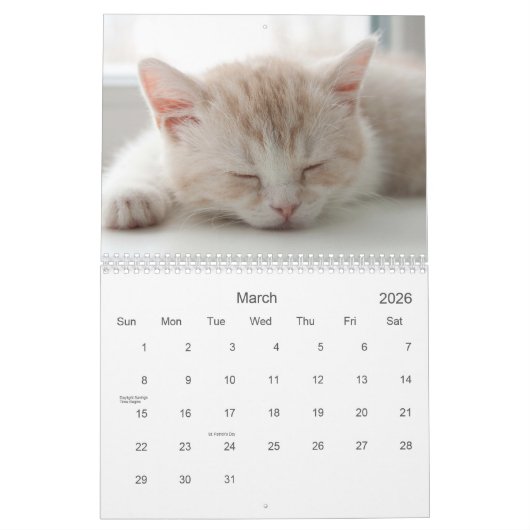 2021 Catnip Cuties Katten en Kittens Kalender (Mar 2026)