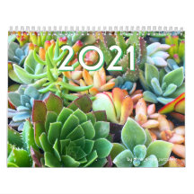 2021 Colorful Succulent Plant Garden Calendar