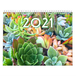 2021 Colorful Succulent Plant Garden Calendar Kalender