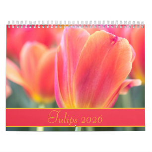 2021 Colorful Tulips Photography Kalender