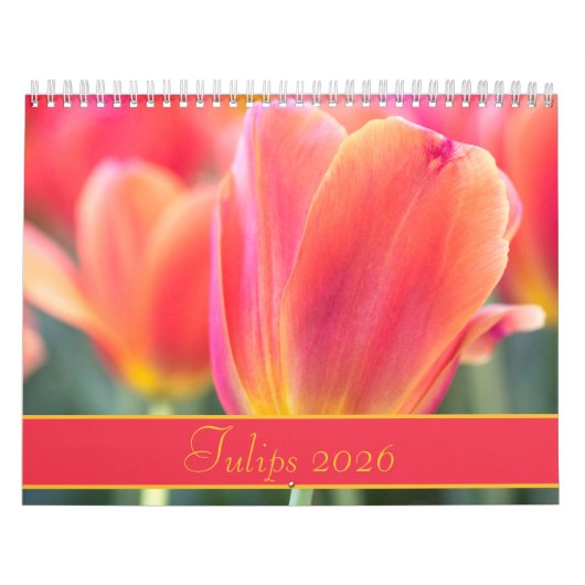 2021 Colorful Tulips Photography Kalender (Hoes)