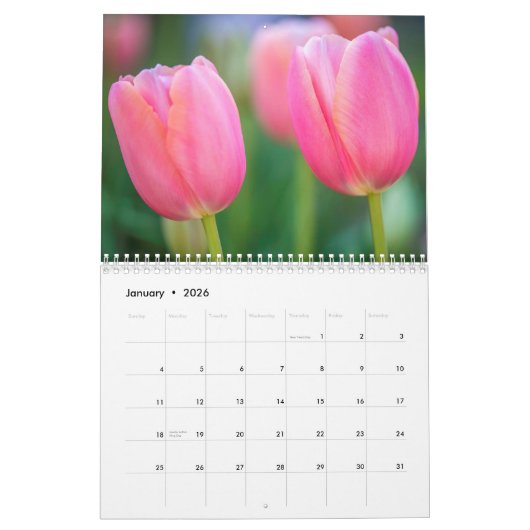2021 Colorful Tulips Photography Kalender (Jan 2026)