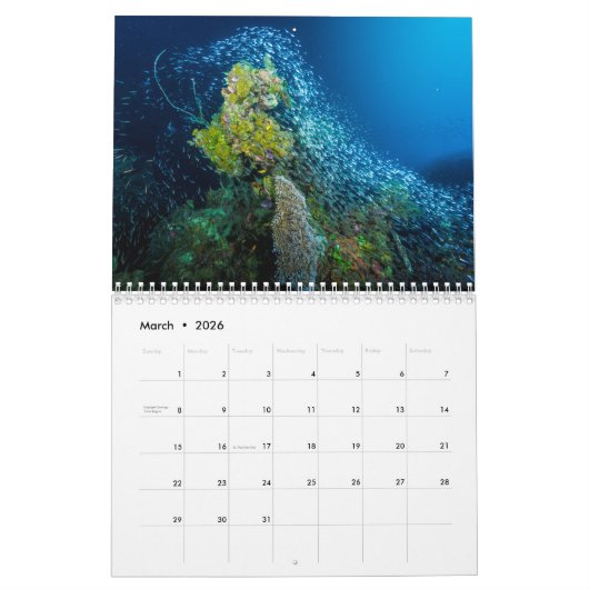2021 Coral Zee Calendar Kalender (Mar 2026)