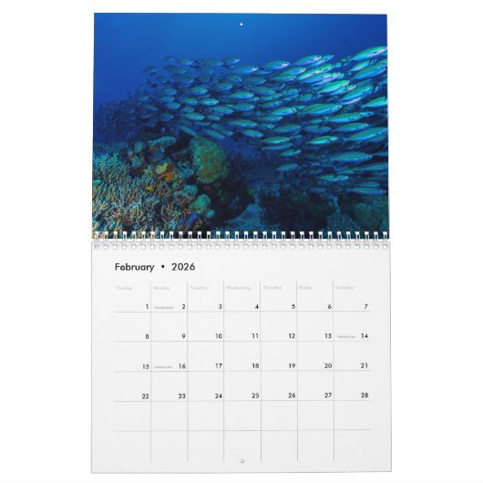 2021 Coral Zee Calendar Kalender (Feb 2026)