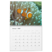 2021 Coral Zee Calendar Kalender (Jan 2027)