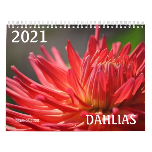 2021 DAHLIA CALENDAR-DRYANORIGINELE KALENDERS KALENDER (Hoes)