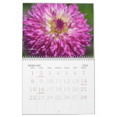 2021 DAHLIA CALENDAR-DRYANORIGINELE KALENDERS KALENDER (Feb 2026)