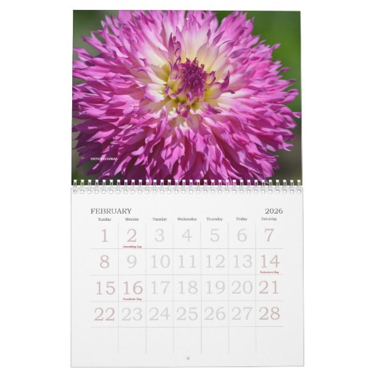 2021 DAHLIA CALENDAR-DRYANORIGINELE KALENDERS KALENDER (Feb 2026)
