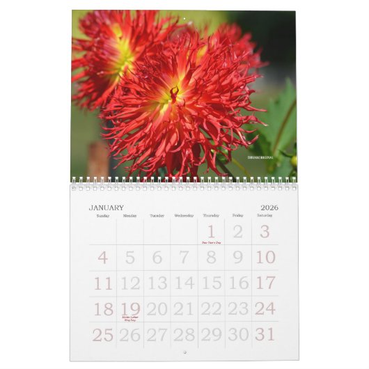 2021 DAHLIA CALENDAR-DRYANORIGINELE KALENDERS KALENDER (Jan 2026)