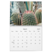 2021 Desert Beauty Kalender (Mar 2027)