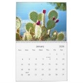 2021 Desert Beauty Kalender (Jan 2026)