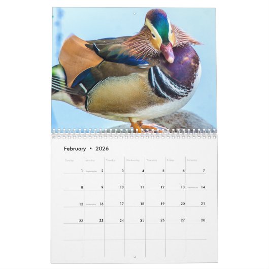 2021 Eenden Fotografie Kalender (Feb 2026)