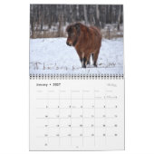 2021 Equine-fotokalender Kalender (Jan 2027)