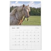 2021 Equine-fotokalender Kalender (Mar 2027)