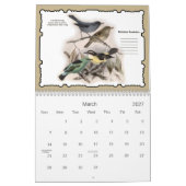 2021 Feathered Friends Vogelmuurkalender Kalender (Mar 2027)