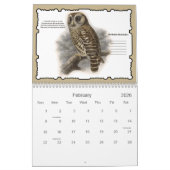 2021 Feathered Friends Vogelmuurkalender Kalender (Feb 2026)