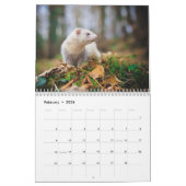 2021 Ferret Calendar Kalender (Feb 2026)