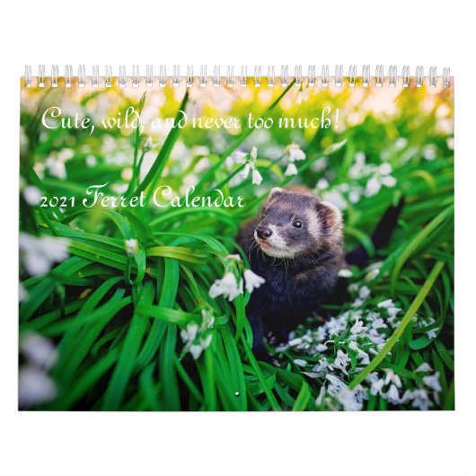 2021 Ferret Calendar Kalender (Hoes)