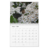 2021 Fotografie Kalender (Mar 2027)