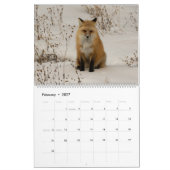 2021 Fotokalender van Montana en Yellowstone NP Kalender (Feb 2027)
