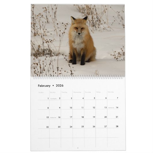 2021 Fotokalender van Montana en Yellowstone NP Kalender (Feb 2026)