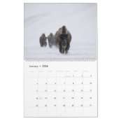 2021 Fotokalender van Montana en Yellowstone NP Kalender (Jan 2026)