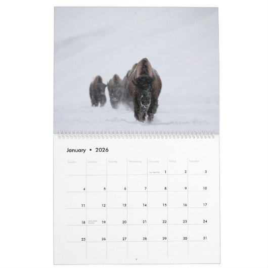 2021 Fotokalender van Montana en Yellowstone NP Kalender (Jan 2026)