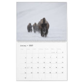 2021 Fotokalender van Montana en Yellowstone NP Kalender (Jan 2027)