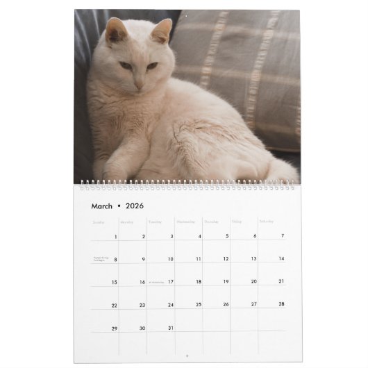 2021: Handsome White Cats Kalender (Mar 2026)