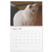 2021: Handsome White Cats Kalender (Feb 2027)