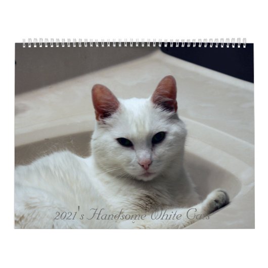 2021: Handsome White Cats Kalender (Hoes)