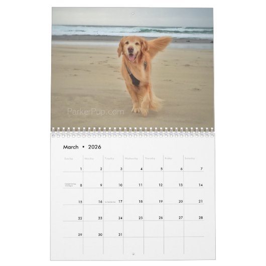 2021: Het beste van ParkerPup Kalender (Mar 2026)