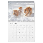 2021: Het beste van ParkerPup Kalender (Jan 2026)