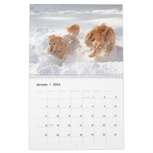 2021: Het beste van ParkerPup Kalender (Jan 2026)
