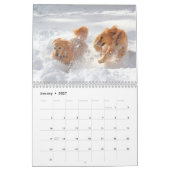 2021: Het beste van ParkerPup Kalender (Jan 2027)