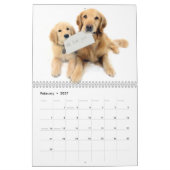 2021: Het beste van ParkerPup Kalender (Feb 2027)